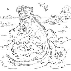 Iguana #5087