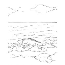 Iguana #5088
