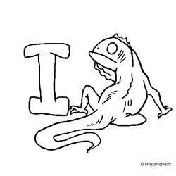 Iguana #5090