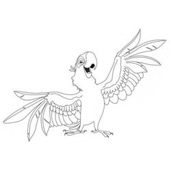 Loro #5097