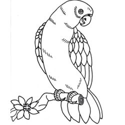 Loro #5098