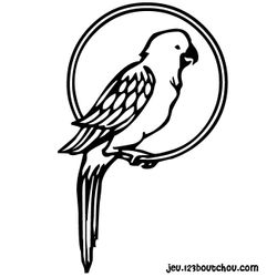 Loro #5102