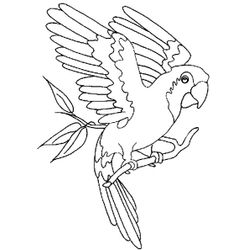 Loro #5103
