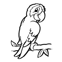 Loro #5104