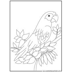 Loro #5110
