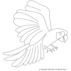Loro #5111
