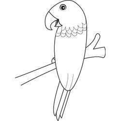 Loro #5117