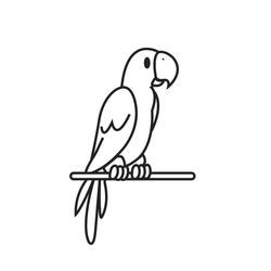 Loro #5121