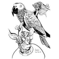 Loro #5124