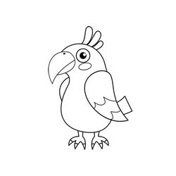 Loro #5128