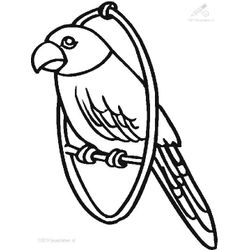 Loro #5131