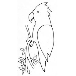Loro #5133