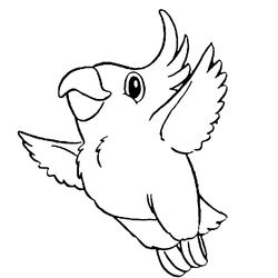 Loro #5140