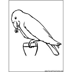 Loro #5142