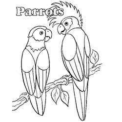 Loro #5143
