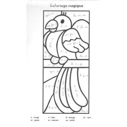 Loro #5147