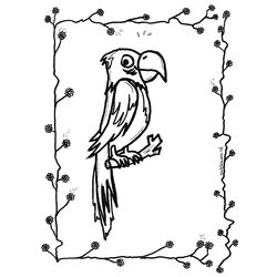 Loro #5148