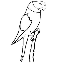 Loro #5150