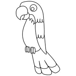 Loro #5153