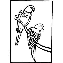 Loro #5154