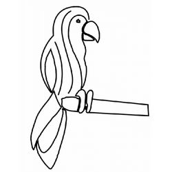 Loro #5169