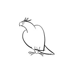 Loro #5171