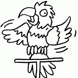 Loro #5172
