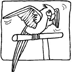 Loro #5182