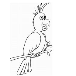 Loro #5186