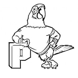 Loro #5193