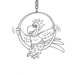 Loro #5195