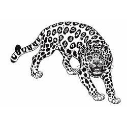Jaguar #5203