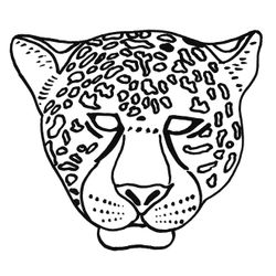 Jaguar #5205