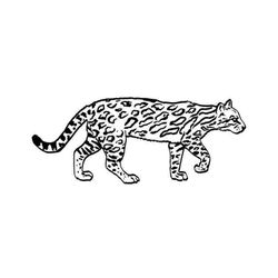 Jaguar #5210