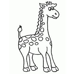 Jirafa #5219