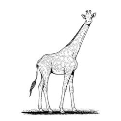 Jirafa #5225