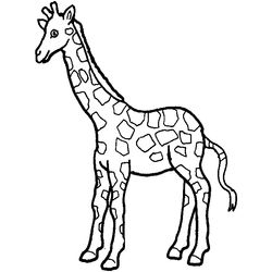 Jirafa #5226