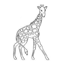 Jirafa #5229