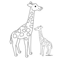 Jirafa #5231