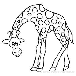 Jirafa #5234