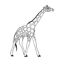 Jirafa #5247
