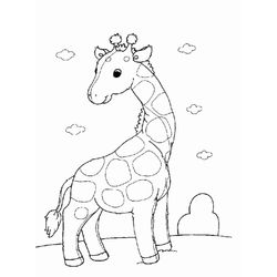 Jirafa #5251