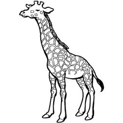 Jirafa #5270