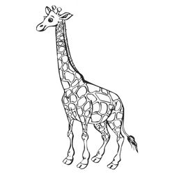 Jirafa #5274