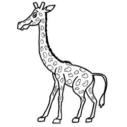 Jirafa #5293