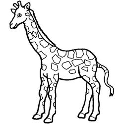 Jirafa #5306
