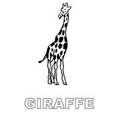 Jirafa #5323