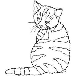 Gatito #5347