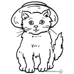 Gatito #5358