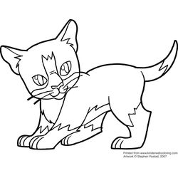 Gatito #5367
